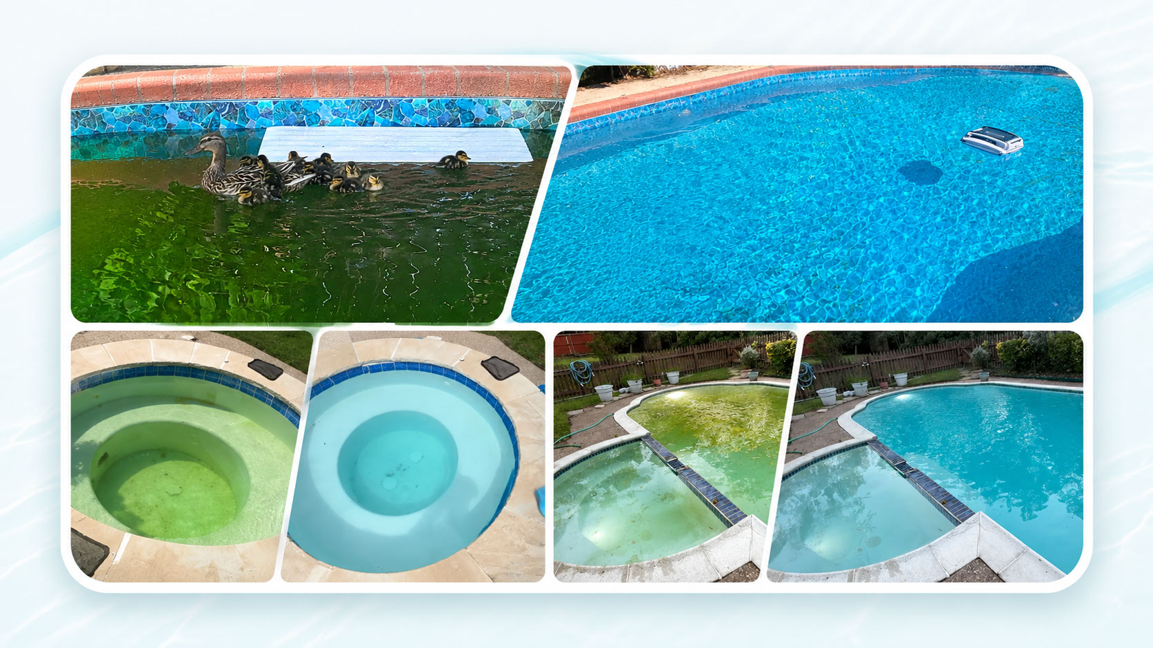Pool transformed from green to crystal clean